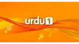 Urdu1 TV Live